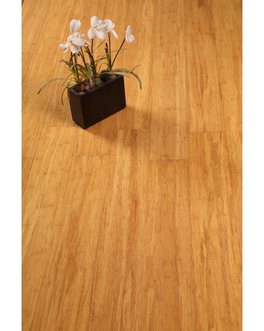 Hybrid Bamboo - Champagne